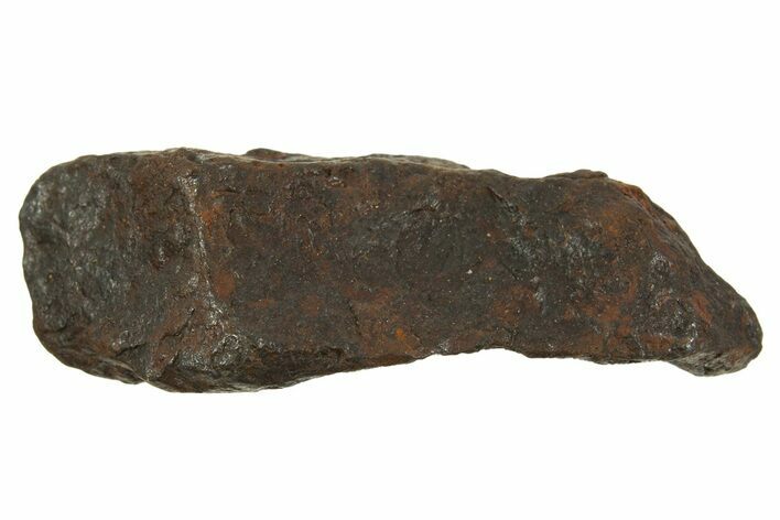 Canyon Diablo Iron Meteorite ( g) - Arizona #335994